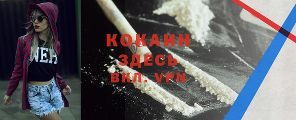 крисы Краснослободск