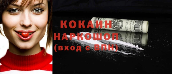 крисы Краснослободск