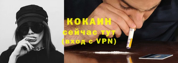 крисы Краснослободск