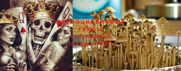 СК Куйбышев