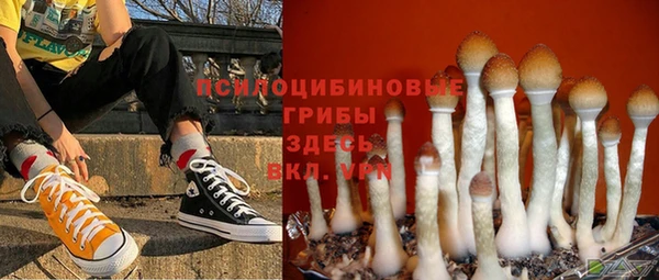дмт Краснотурьинск