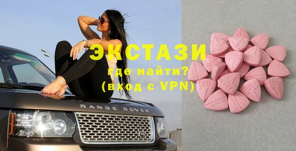 крисы Краснослободск